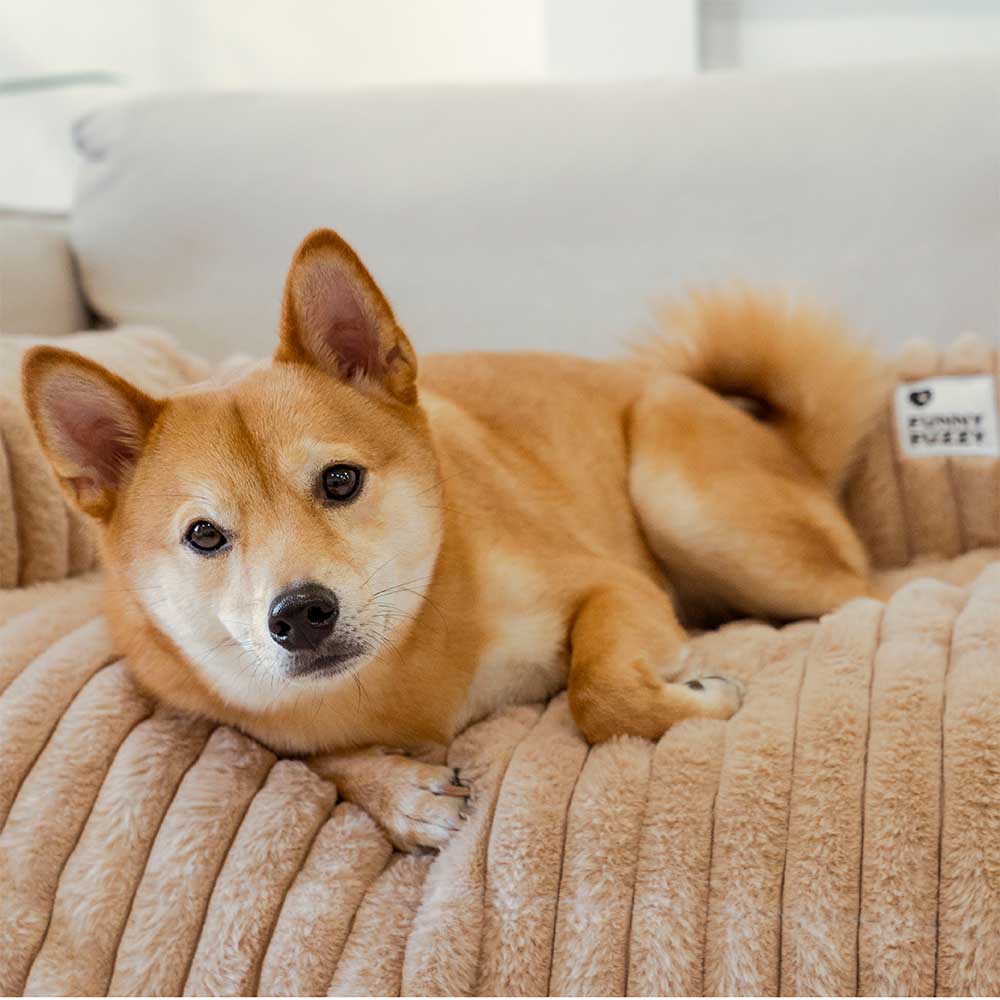 fluffy sofa blanket bolster dog mat couch cover fluffy sofa blanket bolster dog mat couch cover