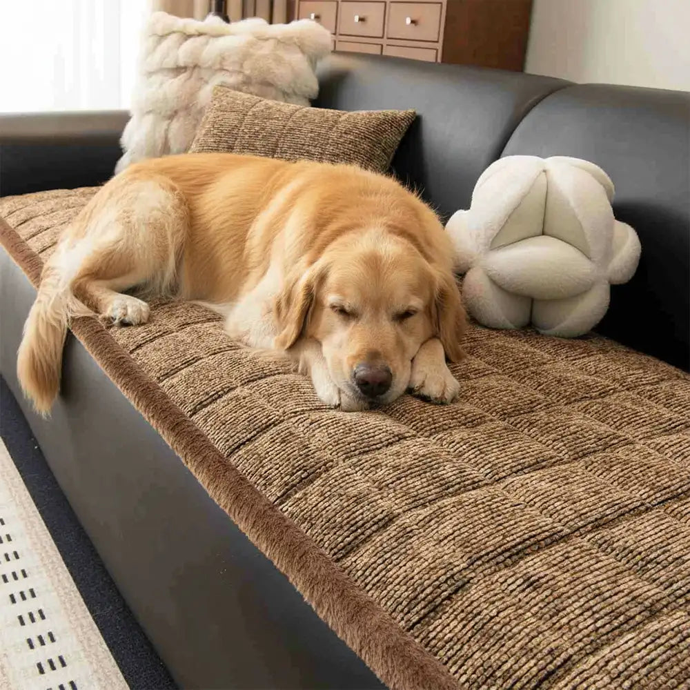 pet friendly chenille textured non slip couch cover with frayed edges pet friendly chenille textured non slip couch cover with frayed edges