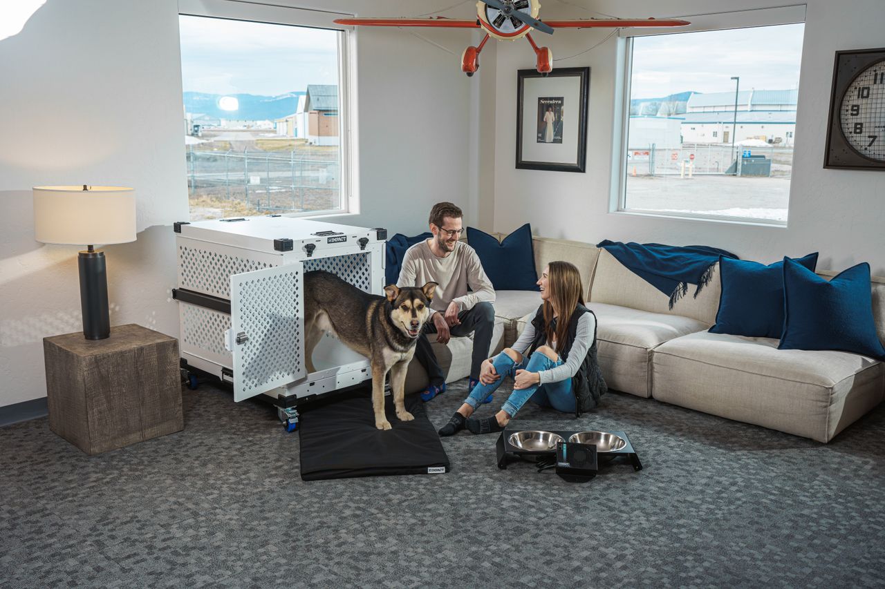 A couple relaxing with their dog in a modern living room setting, emphasizing comfort and pet safety.